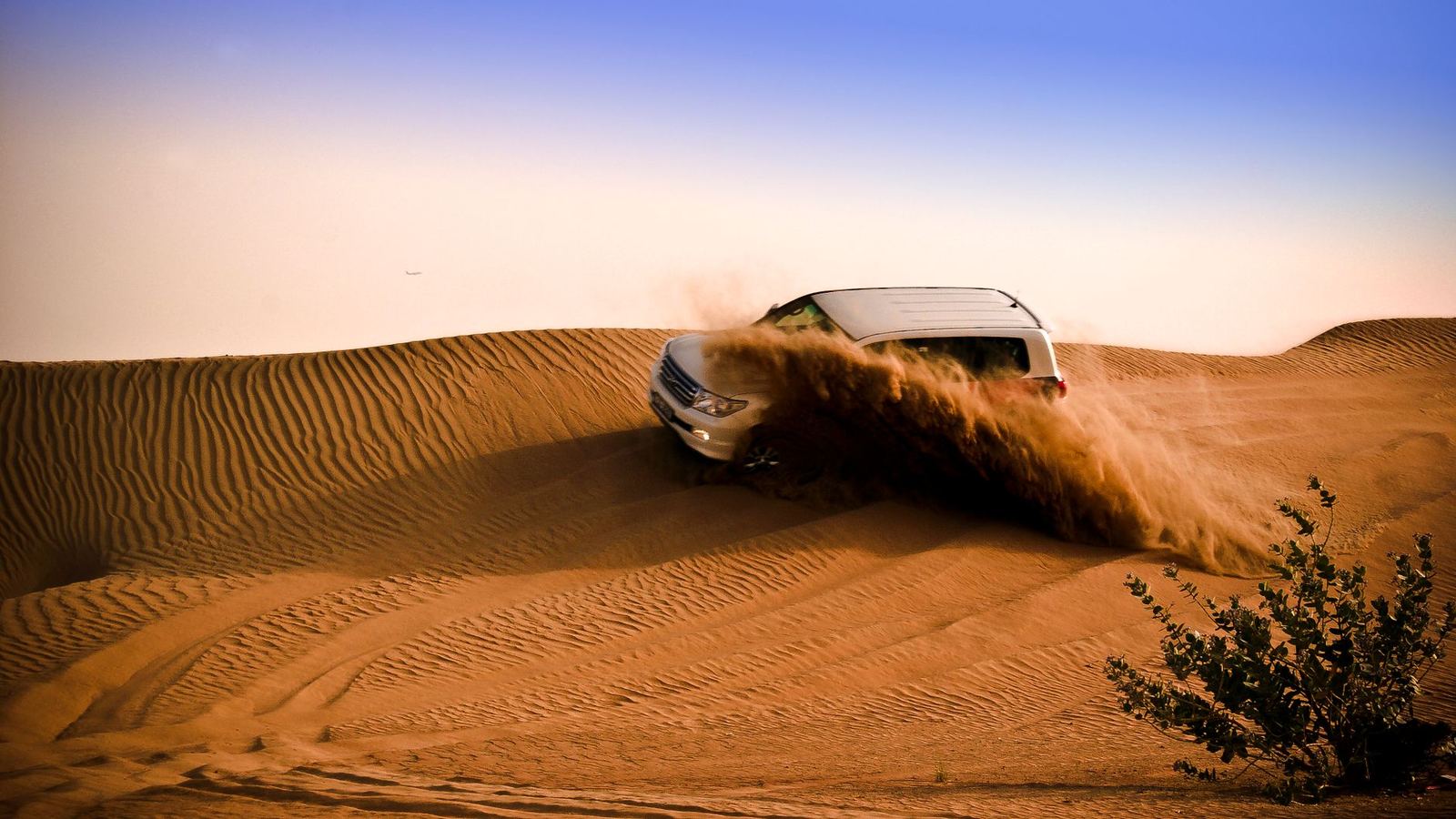 Private Morning Desert Safari